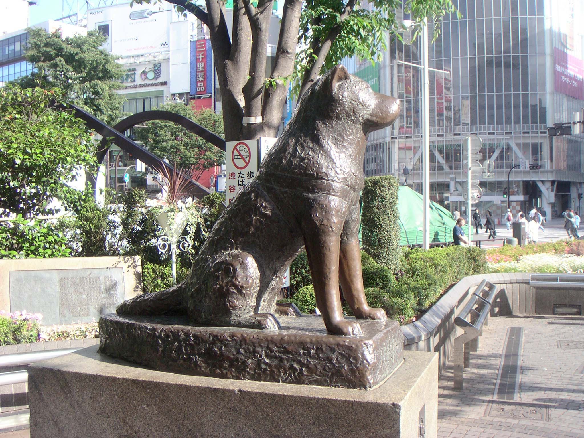 hachiko200505-41