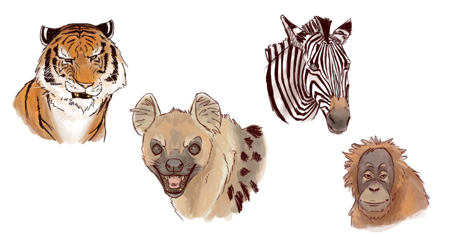 so_i_had_to_draw_the_animals_from_life_of_pi_by_isolated_scetch-d5ewwsu.png