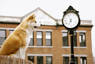 Hatchi_WP_1280_03.jpg