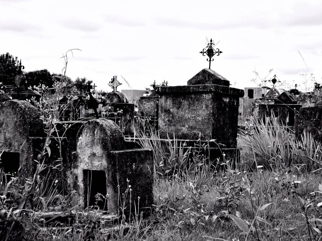 photo.jpg
