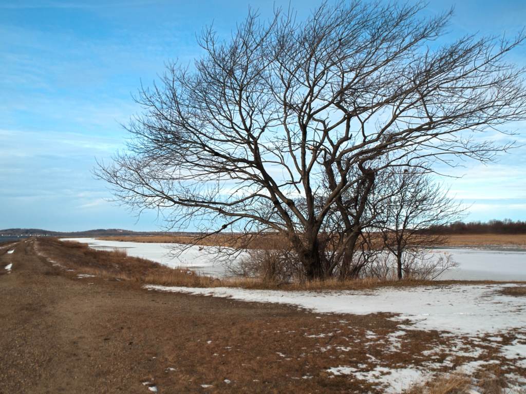 photo_2.jpg