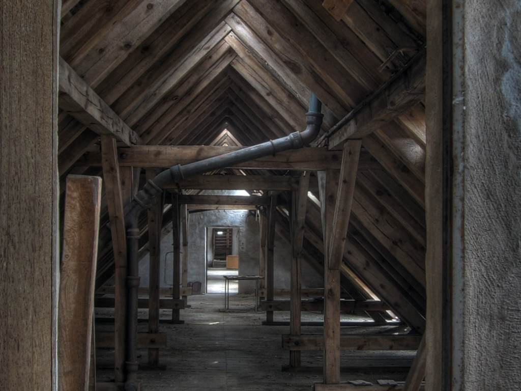 photo_4.jpg